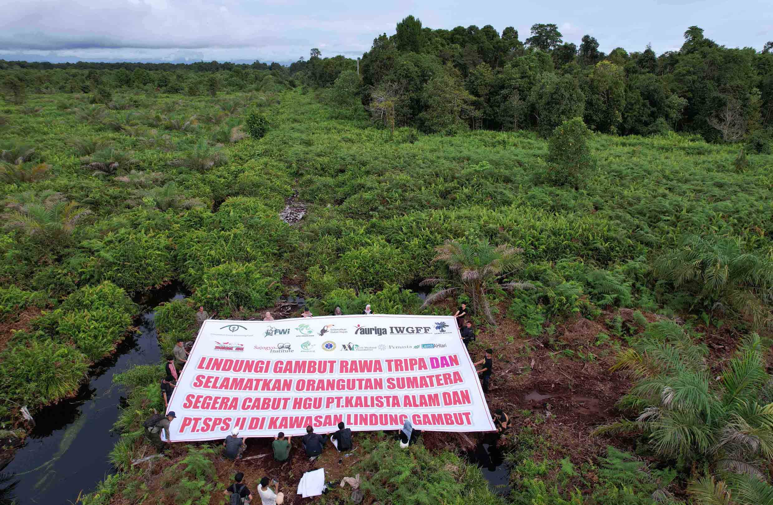 Pernyataan Bersama: Rawa Tripa dan Kompleksitas Masalahnya – Seruan Jaringan Masyarakat Sipil untuk Menyelamatkan Keanekaragaman Hayati Indonesia 27 May 2025